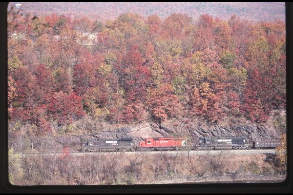 Untitled Ralph Curcio Photo 368