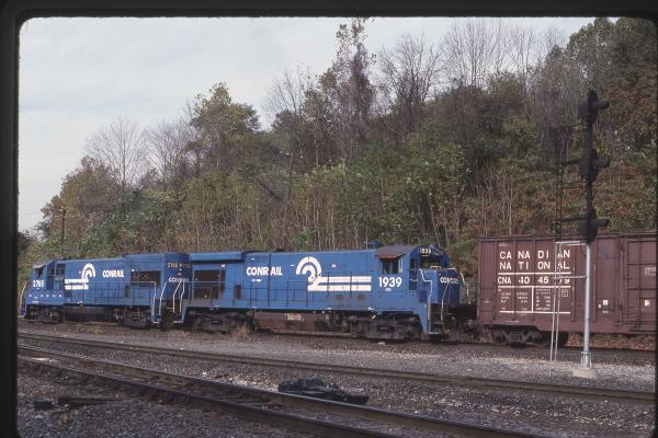 Untitled Ralph Curcio Photo 379