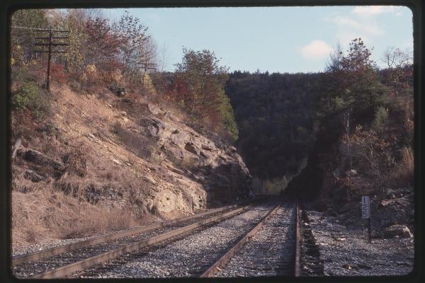 Untitled Ralph Curcio Photo 398