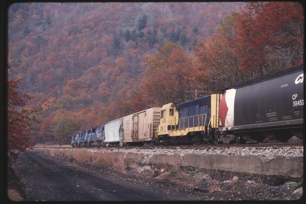 Untitled Ralph Curcio Photo 409