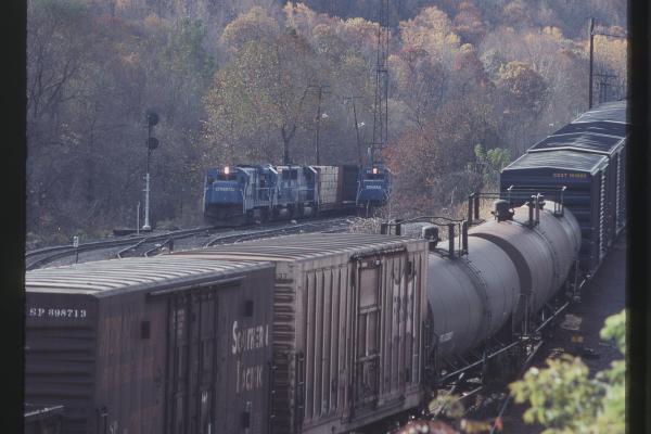 Untitled Ralph Curcio Photo 418