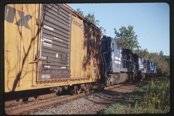 Untitled Ralph Curcio Photo 428