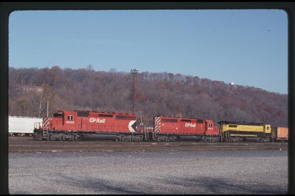 Untitled Ralph Curcio Photo 465