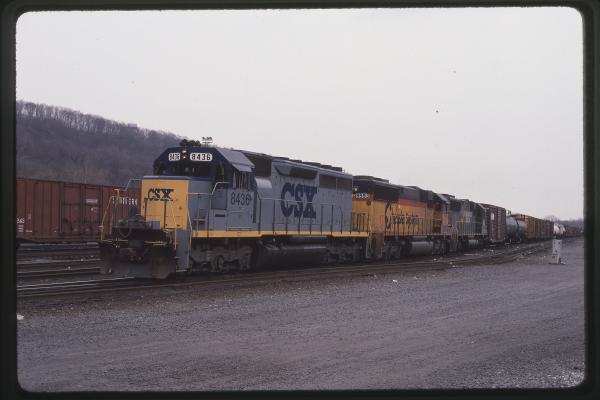 Untitled Ralph Curcio Photo 513