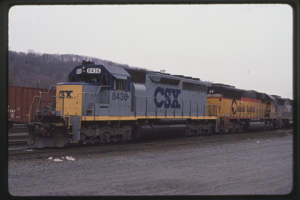 Untitled Ralph Curcio Photo 514