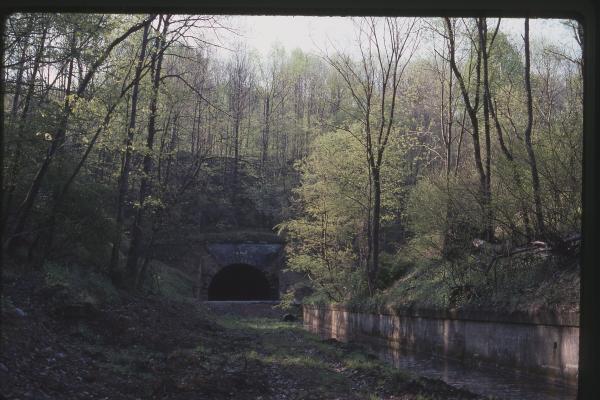 Untitled Ralph Curcio Photo 517