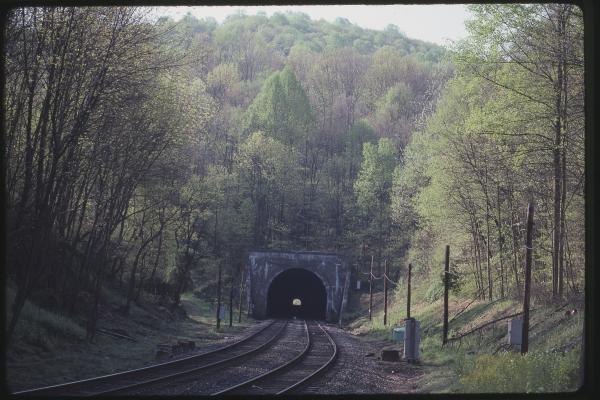 Untitled Ralph Curcio Photo 520