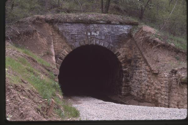 Untitled Ralph Curcio Photo 525