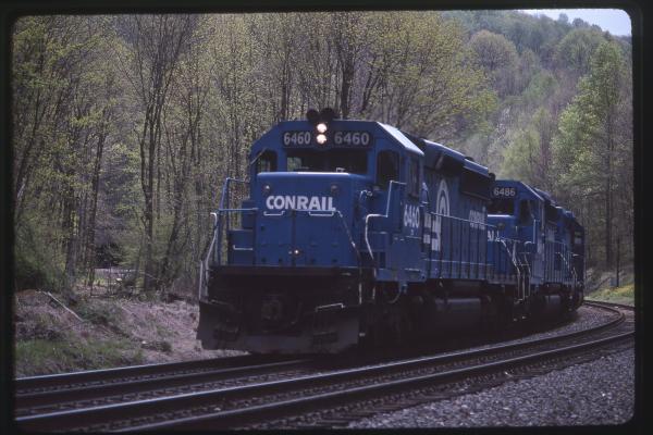 Untitled Ralph Curcio Photo 529