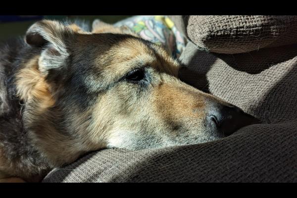 ZTS Maps, Toledo Division, Zone 67, Zone 68, Zone 69 1984