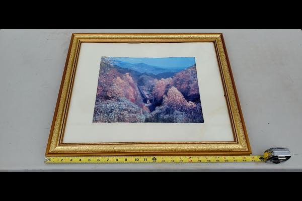 Norfolk Southern coal train