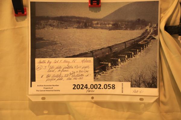 Color prints, 3 on 8'1/2 x 11 paper