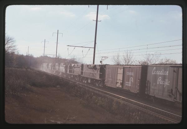Untitled Ralph Curcio Photo