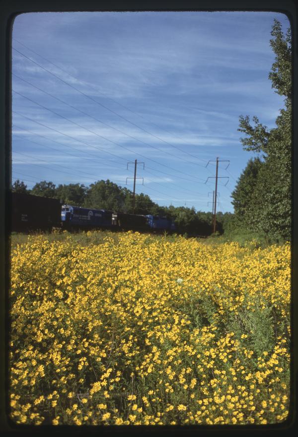 Untitled Ralph Curcio Photo