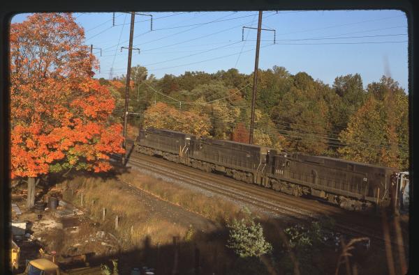 Untitled Ralph Curcio Photo