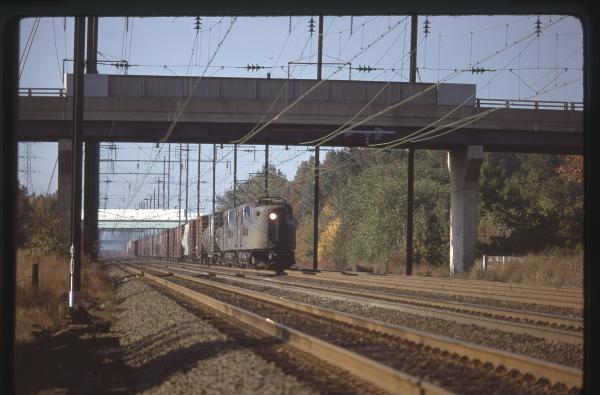 Untitled Ralph Curcio Photo