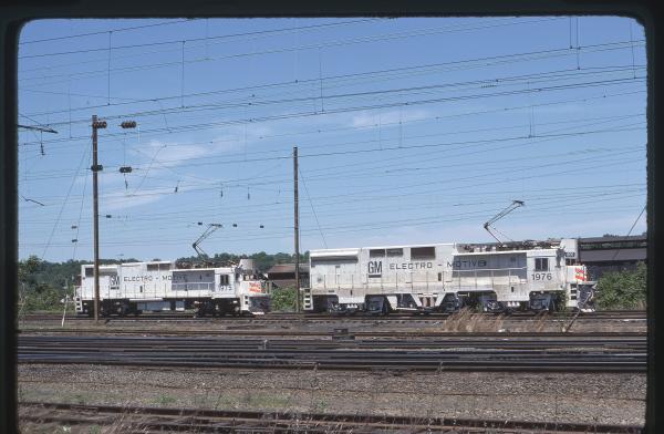 Untitled Ralph Curcio Photo