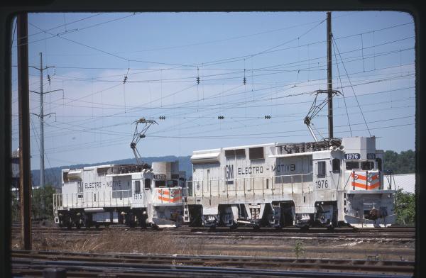 Untitled Ralph Curcio Photo