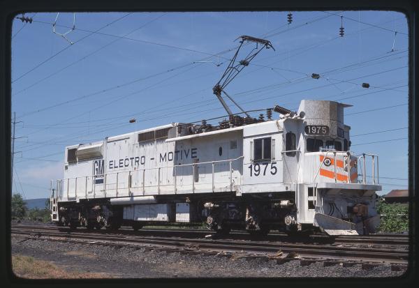 Untitled Ralph Curcio Photo