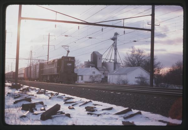 Untitled Ralph Curcio Photo