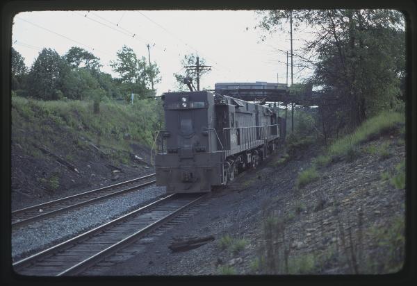 Untitled Ralph Curcio Photo