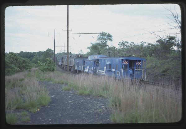 Untitled Ralph Curcio Photo