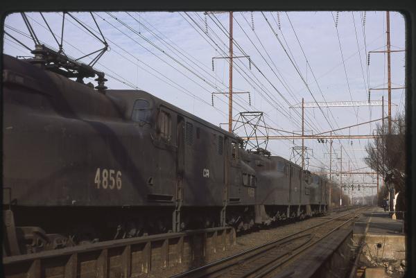 Untitled Ralph Curcio Photo