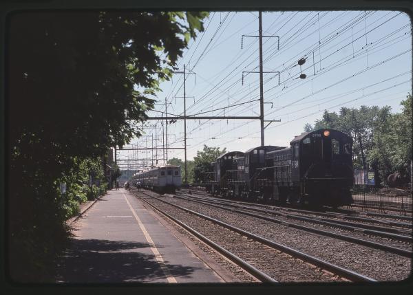 Untitled Ralph Curcio Photo