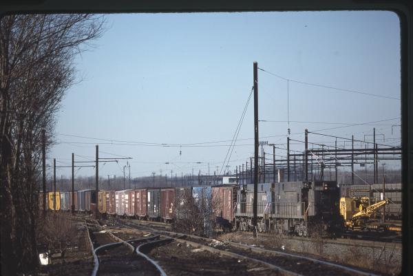 Untitled Ralph Curcio Photo