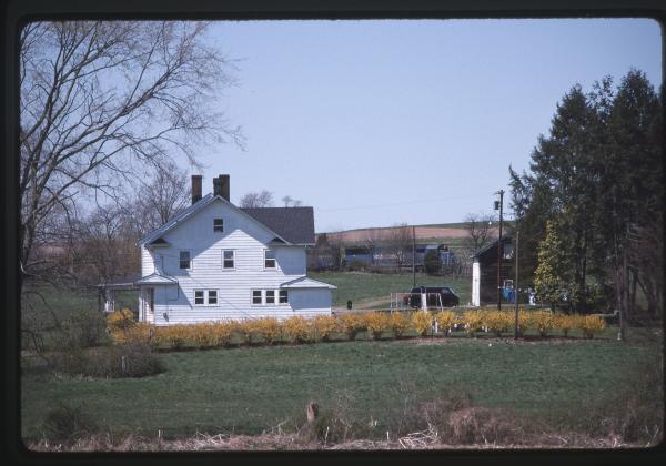 Untitled Ralph Curcio Photo in Three Bridges NJ