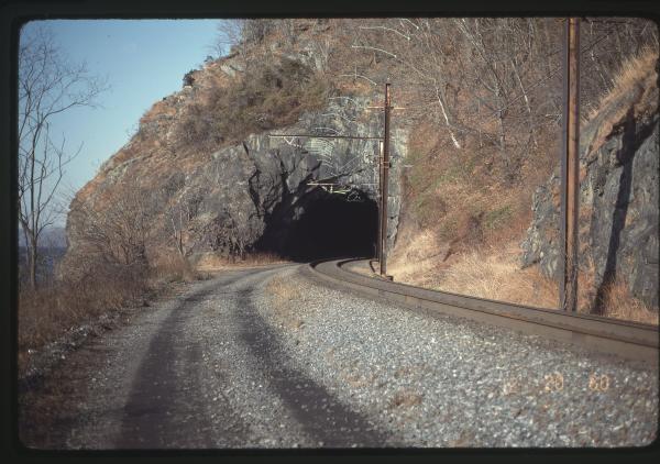 Tunnel on the Port Road