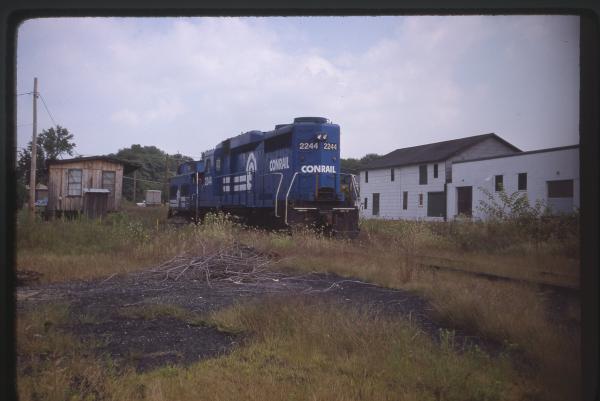 Untitled Ralph Curcio Photo 4
