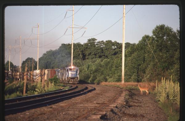 Untitled Ralph Curcio Photo 148