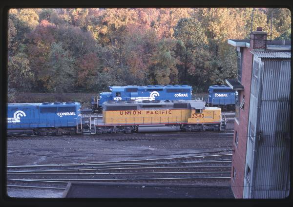 Untitled Ralph Curcio Photo 207