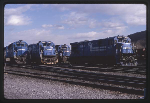 Untitled Ralph Curcio Photo 214