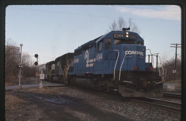 Untitled Ralph Curcio Photo 261