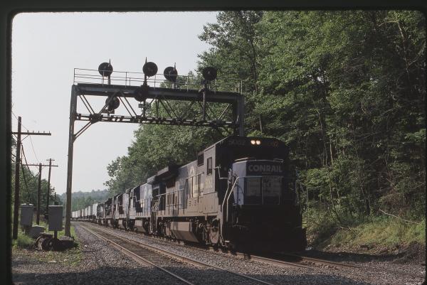 Untitled Ralph Curcio Photo 269