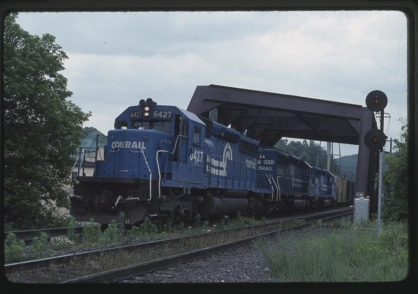 Untitled Ralph Curcio Photo 273