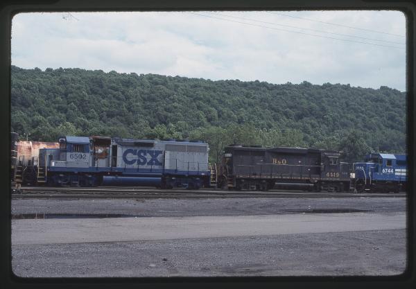 Untitled Ralph Curcio Photo 274