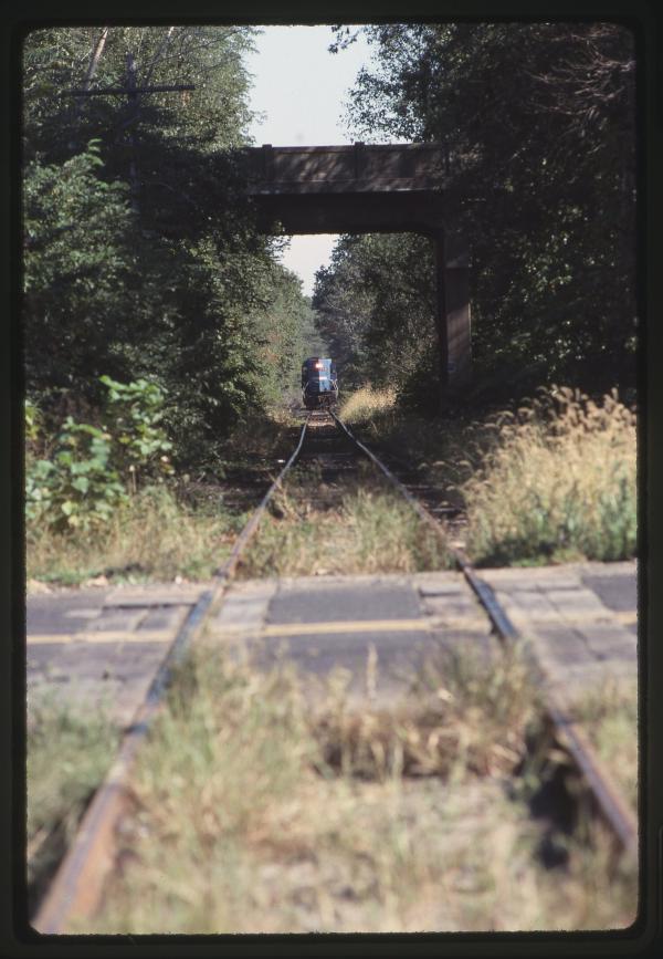 Untitled Ralph Curcio Photo 331