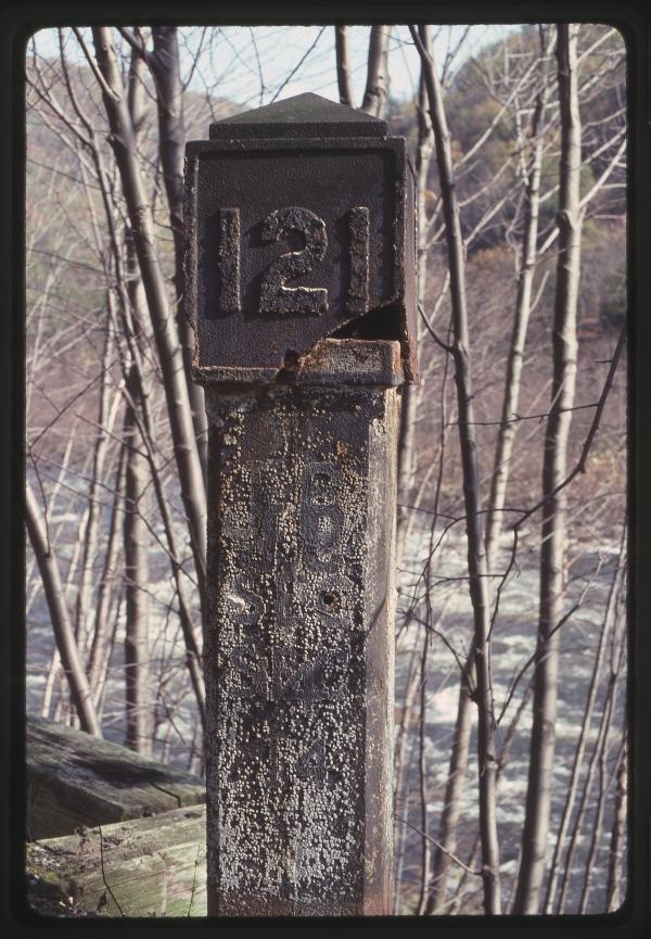 Untitled Ralph Curcio Photo 353