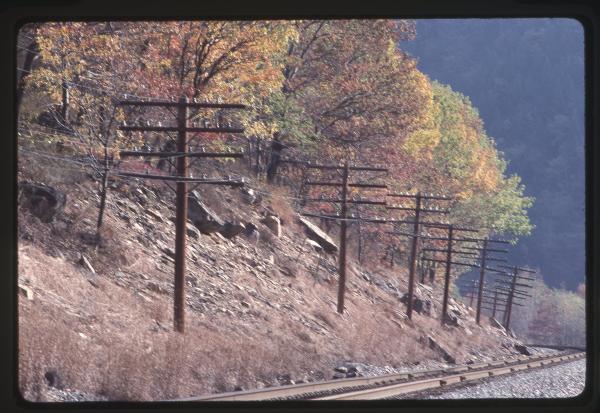 Untitled Ralph Curcio Photo 354