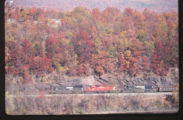 Untitled Ralph Curcio Photo 368