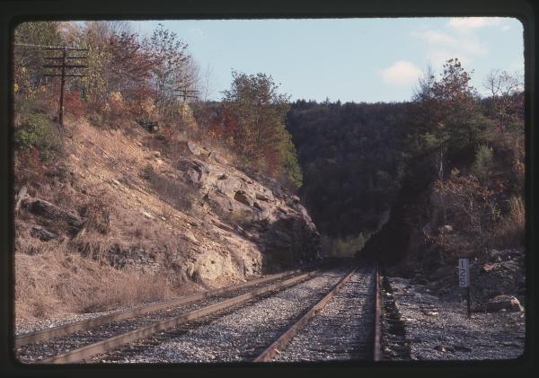 Untitled Ralph Curcio Photo 398