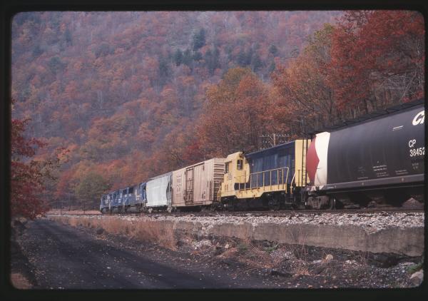 Untitled Ralph Curcio Photo 409