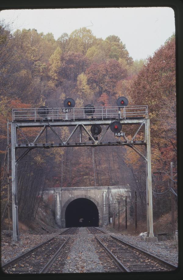 Untitled Ralph Curcio Photo 410