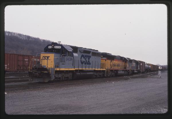 Untitled Ralph Curcio Photo 513