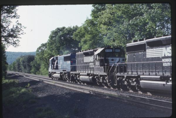 Undescribed David Edwards Slide 515