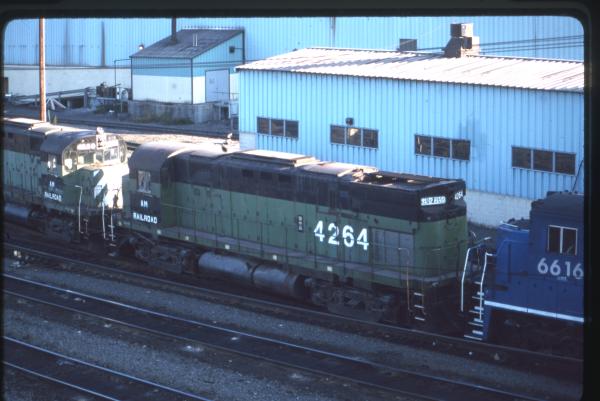 Undescribed David Edwards Slide 517