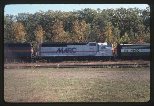 Undescribed David Edwards Slide 519
